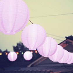   Led -es elemes lampion, 20 cm, rzsaszn