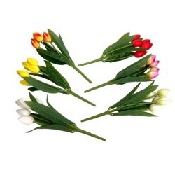   Hab Tulipn csokor, 5 szl