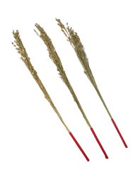   Virgcs, 38 cm