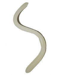   Mfreg, sttben vilgt, 15 cm