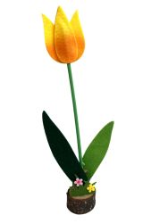   Tulipn farnk talppal